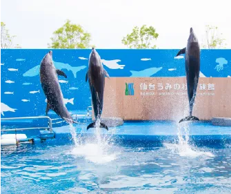 仙台うみの杜水族館